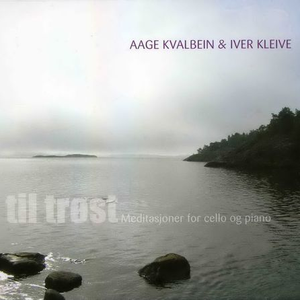 农村寡妇偷汉子HD
