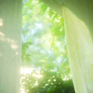 农村寡妇偷汉子HD
